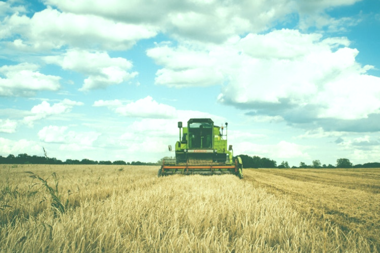 Cosecha de cultivos agrícolas