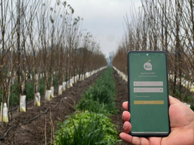 AgroMantaro: La Startup Revolucionando la Agricultura en Perú