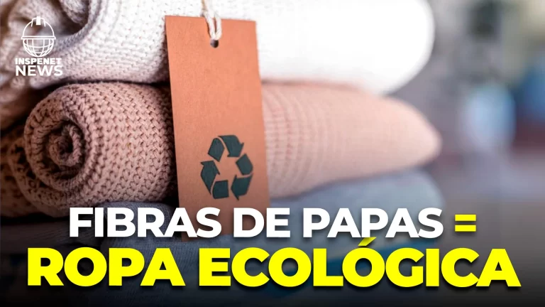 Descubre Cómo Startup Hilos Revoluciona la Industria Textil: Innovación y Sostenibilidad