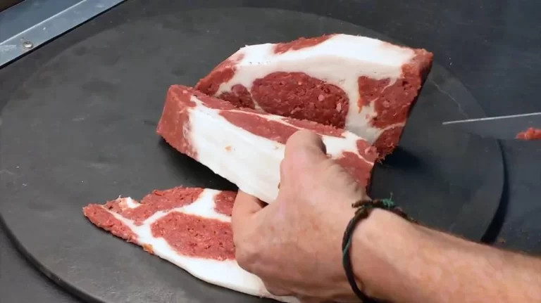 Start-Up Micro Meat: Revolucionando la Industria de la Carne con Tecnología de Vanguardia