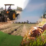 Startup SiembraViva: Cómo una Empresa Ecológica Transforma la Agricultura Sostenible