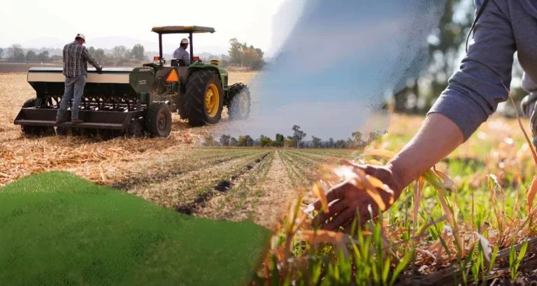 Startup SiembraViva: Cómo una Empresa Ecológica Transforma la Agricultura Sostenible