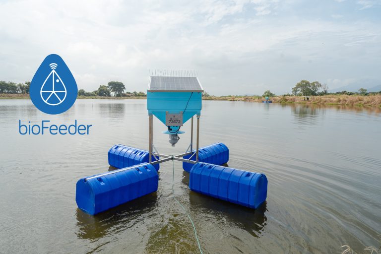 Startup Biofeeder: Innovando en Tecnología Sostenible para el Futuro
