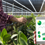 Startup Fazenda Futuro: Innovación y Sostenibilidad en la Agricultura del Futuro
