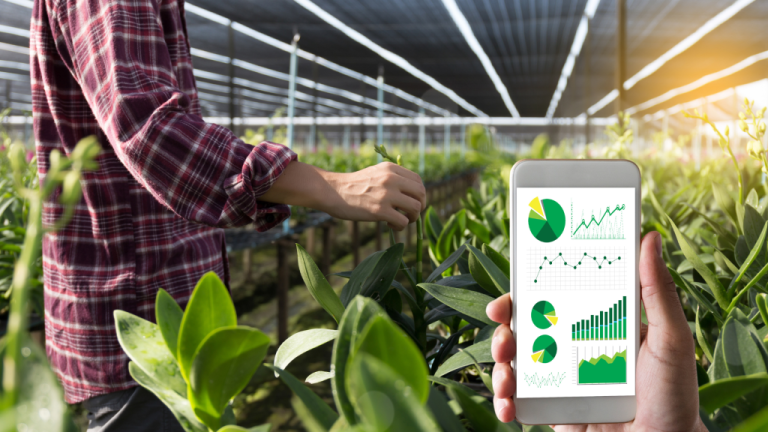 Startup Fazenda Futuro: Innovación y Sostenibilidad en la Agricultura del Futuro